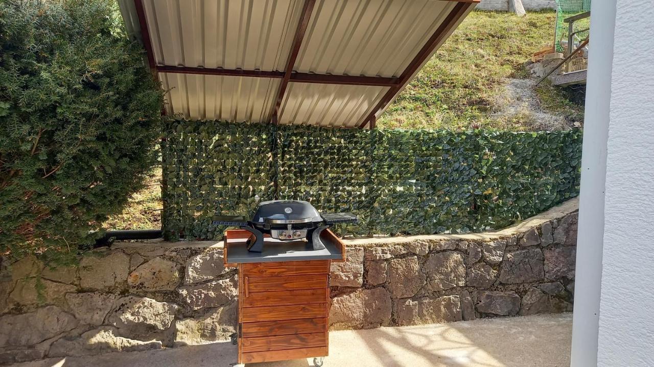 Apartamento Gogo Delnice Exterior foto